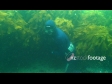 Fins Out 1389